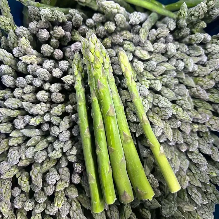 সামঞ্জস্যপূৰ্ণ খাদ্যসেৱা আৰু উপাদান যোগানৰ বাবে নিৰ্বাচিত ফ্ৰ'জেন সেউজীয়া শতমূল