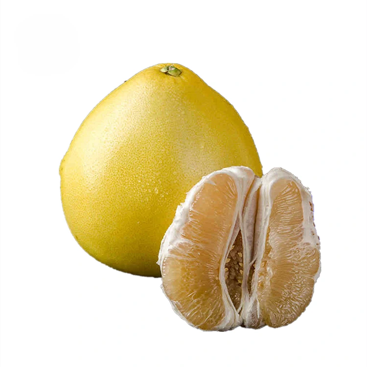 সম্পূৰ্ণ পাল্প বগা মাংস মৌ Pomelo