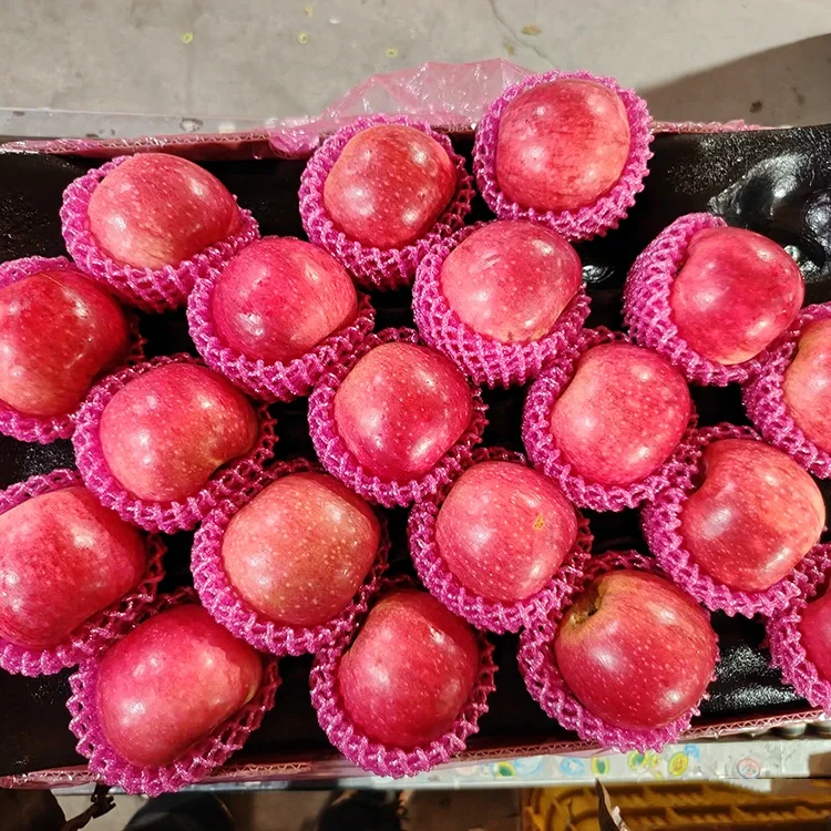 চুপিৰিয়েৰ ফ্ৰেছ জিগুয়ান আপেল